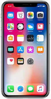 Apple iPhone X Plus thumbnail